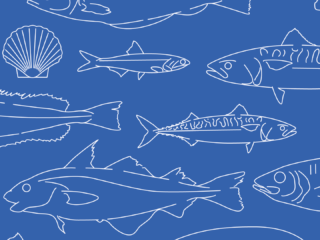 IFREMER - Comment vont les poissons ?
